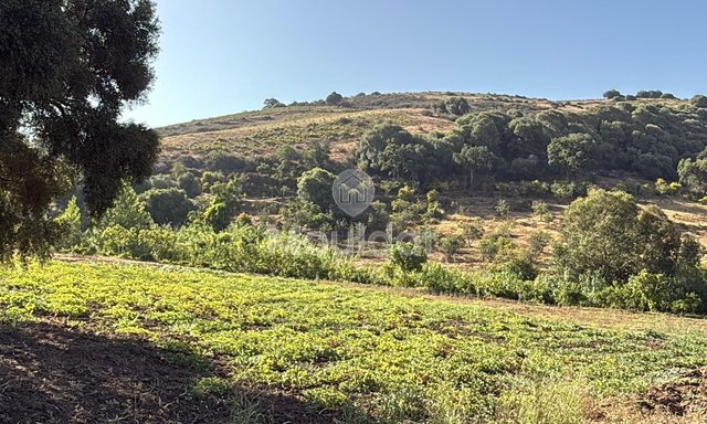 الأراضي الزراعية في أصيلا: اغتنم فرصة فريدة - 4