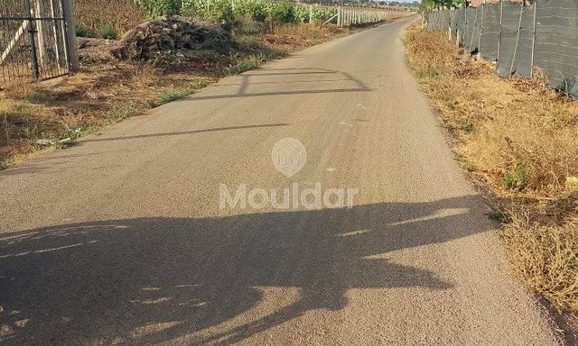 أرض زراعية للبيع في المحمدية - 1000م² - 4