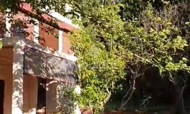 Οικία προς πώληση στην Ασίλα: εξαιρετικός χώρος 16.000 τ.μ. - 2