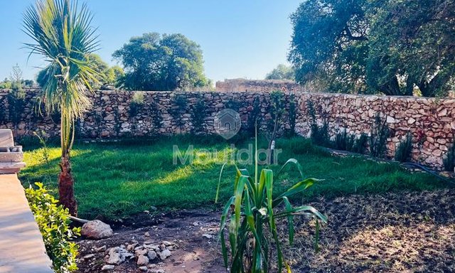 Villa d'Exception à Essaouira : Luxe et Espace Invincibles - 4