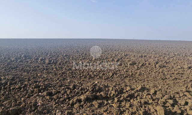 Agricultural Land of 130,000 m² in Ksar el-Kebir for Sale