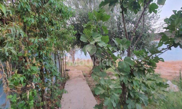 بيع أرض زراعية في مراكش: 1738م² من الفرص