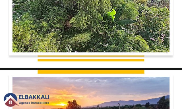 Riad d'Exception à Agadir : 20 Chambres sur 8400m² ! — Agadir, Secteur Touristique - 3