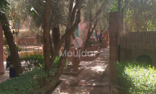 فيلا فاخرة في مراكش مع مسبح وحديقة رائعة - 3