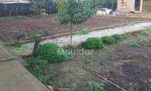 Satılık çiftlik: Casablanca ile El Jadida arasında 3500 m², mükemmel konum! - 4