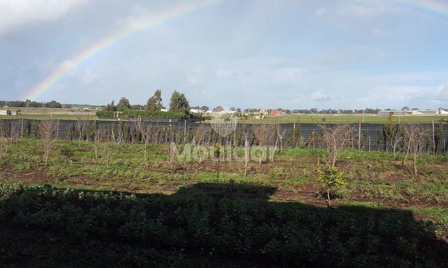 Satılık çiftlik: Casablanca ile El Jadida arasında 3500 m², mükemmel konum!