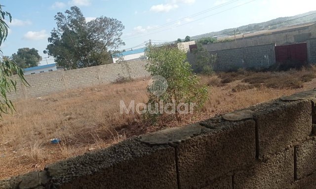 Industrial land for sale in Ksar el-Kebir - 1000 m²