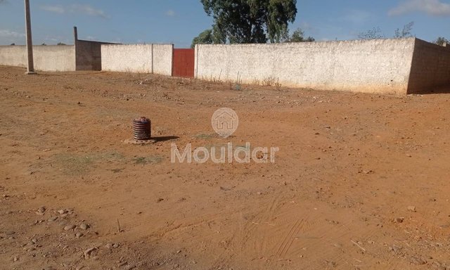 Industrial land for sale in Ksar el-Kebir - 1000 m² - 4