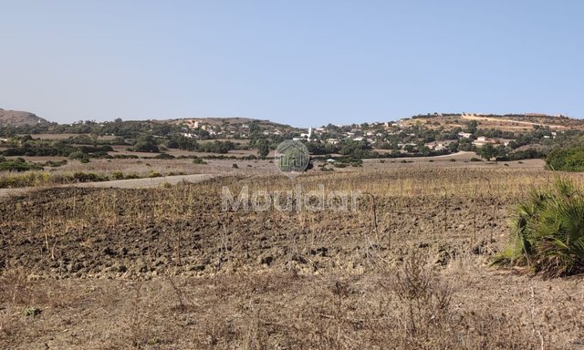 Terrain Agricole de 3 Hectares à Vendre à Asilah