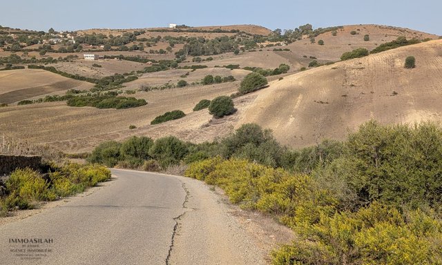 أرض 3 هكتارات في أصيلة - 2