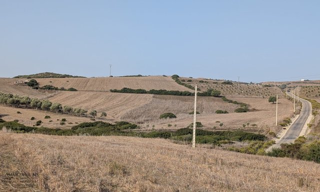 30 هكتار مسجلة للبيع