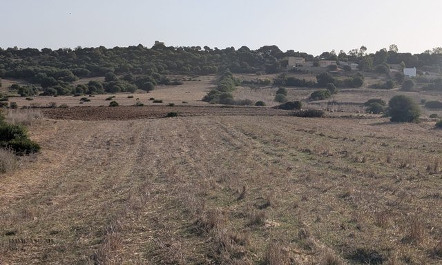 30 هكتار مسجلة للبيع - 2