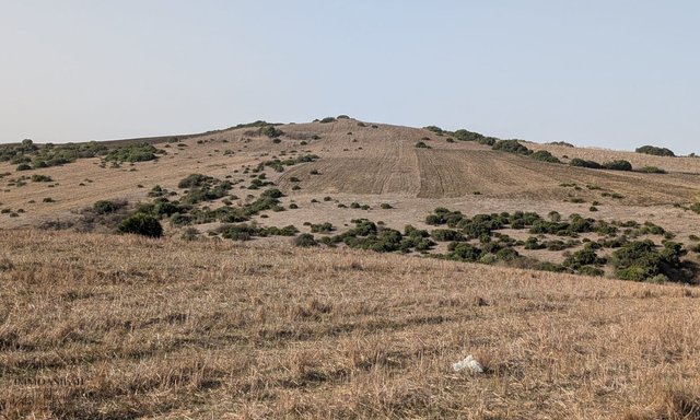 30 هكتار مسجلة للبيع - 4