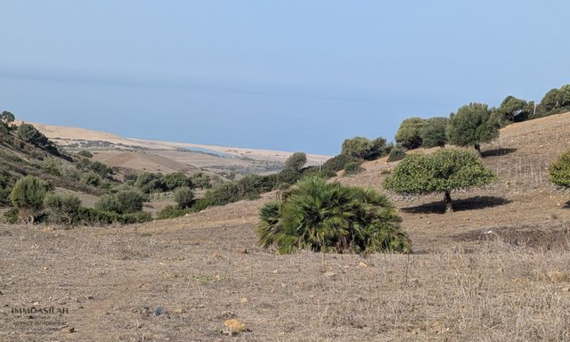 أرض بمساحة 3700 متر مربع تطل على البحر - 3