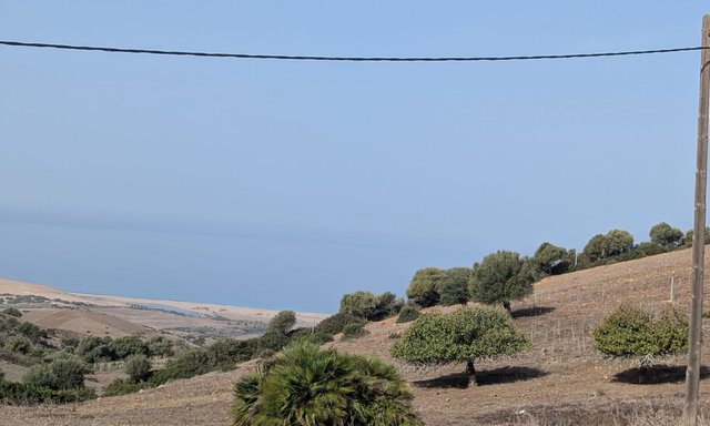 أرض بمساحة 3700 متر مربع تطل على البحر