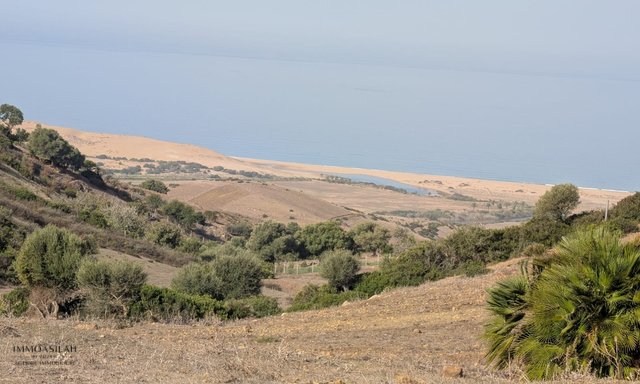 قطعة أرض 14000 متر مربع إطلالة على البحر - 2