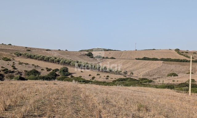 30 Héctares titrés à vendre - 3