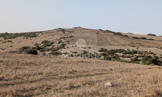 30 Héctares titrés à vendre - 4