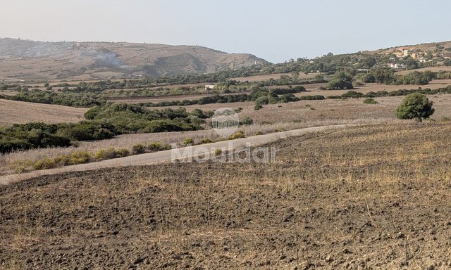 Terrain Agricole de 3 Hectares à Vendre à Asilah - 2