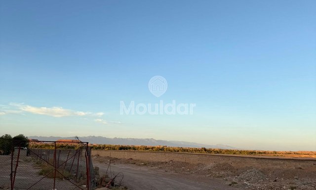 Teren agricol de vânzare în Ouarzazate - 3000 m² - 2