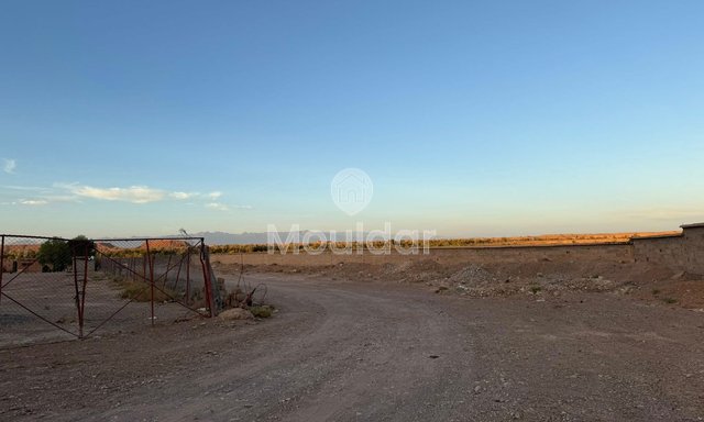 Teren agricol de vânzare în Ouarzazate - 3000 m² - 3