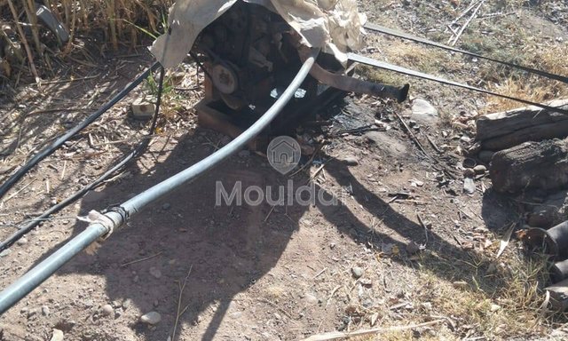 أرض زراعية للبيع في مراكش - 25,000 م² - 4