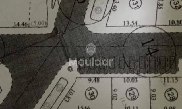 Land for Sale in Ksar el-Kebir: Unique Opportunity - 3