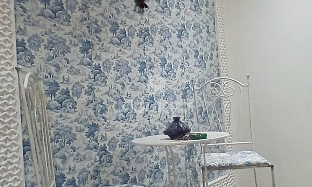 شقة للإيجار في مراكش: راحة وهدوء - 3