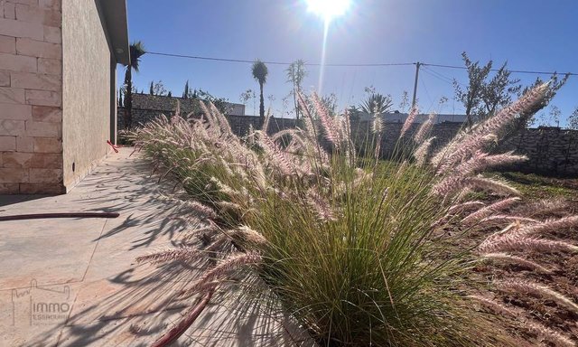 Dream Villa in Essaouira: 4 Bedrooms — Essaouira, Douar Laarab - 31