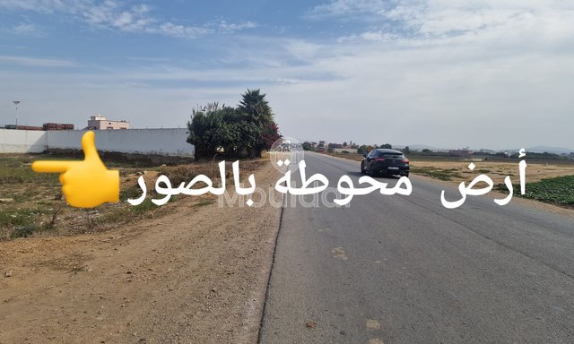 Land for sale in Ksar el-Kebir: exceptional opportunity - 3
