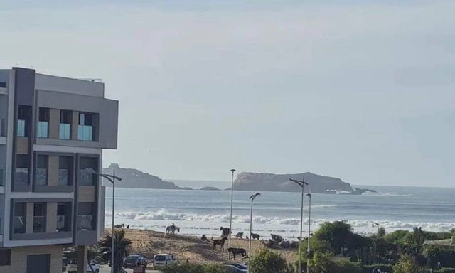 Land for Sale in Essaouira: 265m² for Your Villa! — Essaouira