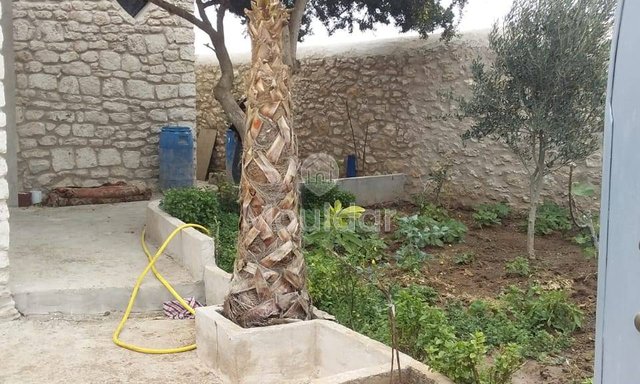 منزل ساحر للإيجار في الصويرة مع حديقة - 2