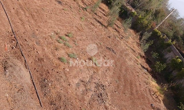 منزل أحلام للبيع في مراكش - 2400م² - 3