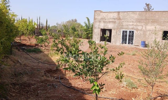 منزل أحلام للبيع في مراكش - 2400م²