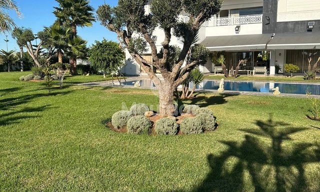 مزرعة للبيع في بوزنيقة: فرصة فريدة