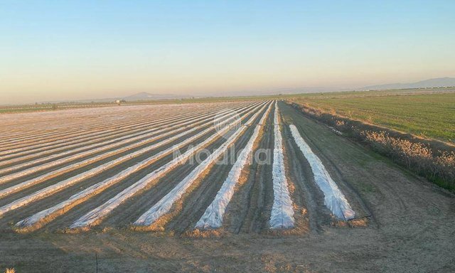 Çevre Dostu Özelliklere Sahip Sidi Slimane'da Eşsiz Çiftlik Satışı