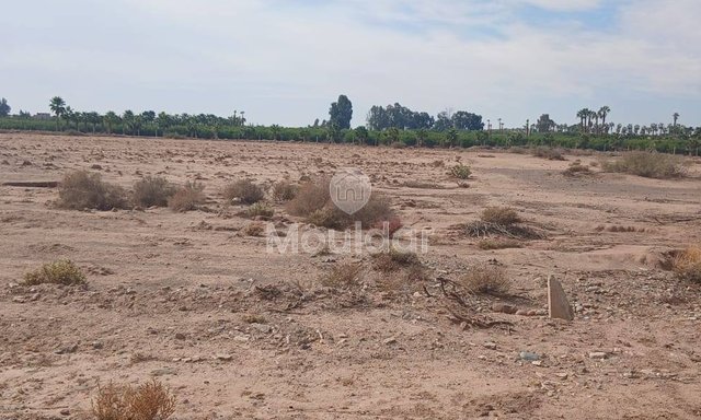 أرض للبيع في مراكش: فرصة لبناية على 2519م² - 4