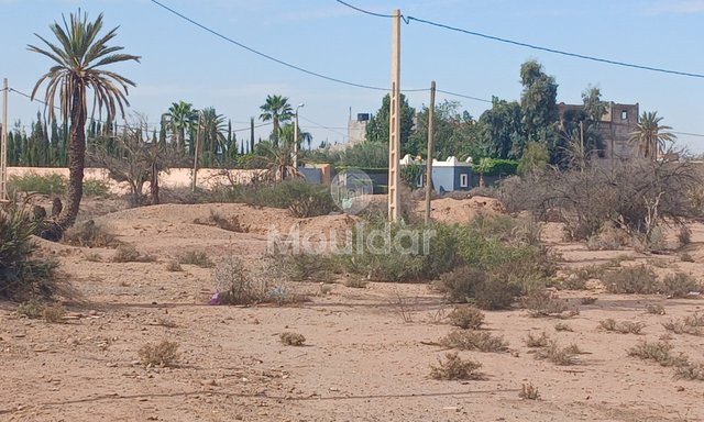 أرض للبيع في مراكش: مثالية لفيلتك الحلم - 2