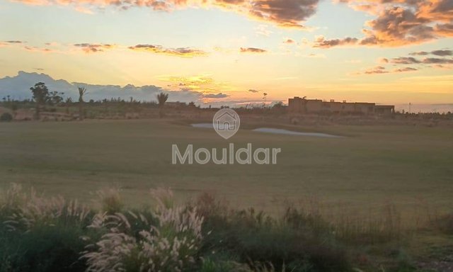 أرض زراعية للبيع في مراكش - 600 متر مربع للاستغلال - 3