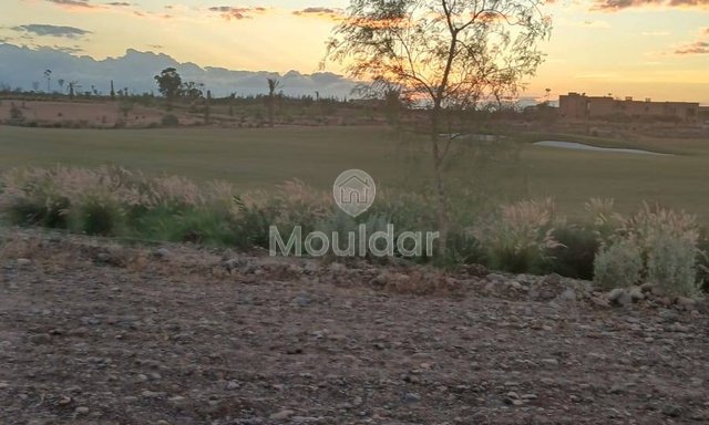 أرض زراعية للبيع في مراكش - 600 متر مربع للاستغلال - 2