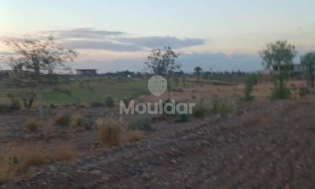 أرض زراعية للبيع في مراكش - 600 متر مربع للاستغلال