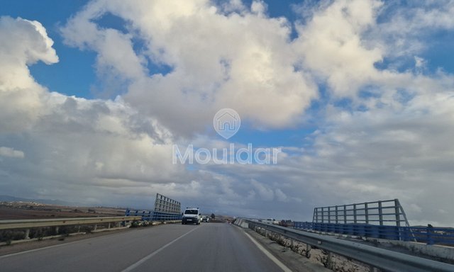 Sale of Agricultural Land in Larache: 47,500 m² to Seize