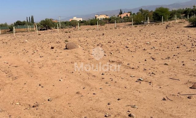 أرض للبيع في مراكش: فرصة استثنائية