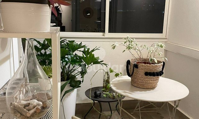 Studio te huur in Casablanca - Gauthier met charmant balkon - 3