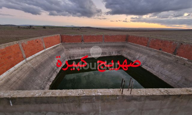 Agricultural Land for Sale in Ksar el-Kebir - 140,000 m² - 3