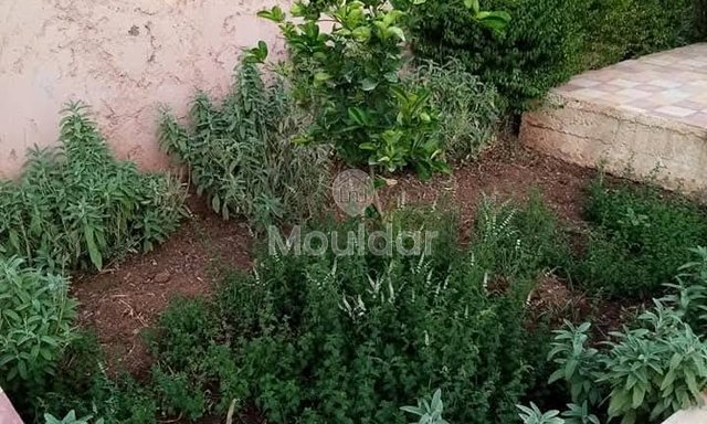 Moderne Villa in Marrakech: 2 Schlafzimmer mit Garten und Terrasse - 17