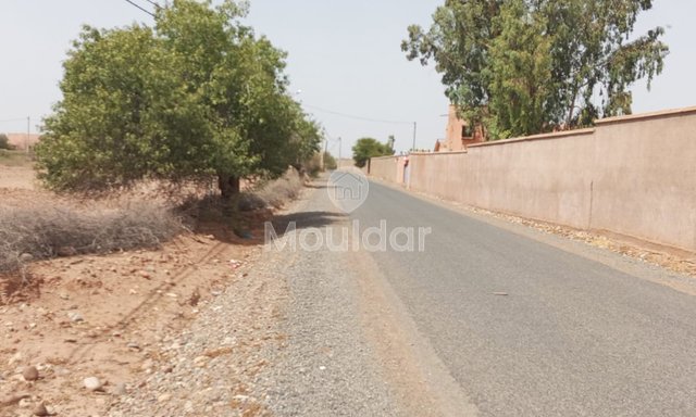 أرض للبيع في مراكش: فيلا على 3940 م² للفرصة - 4