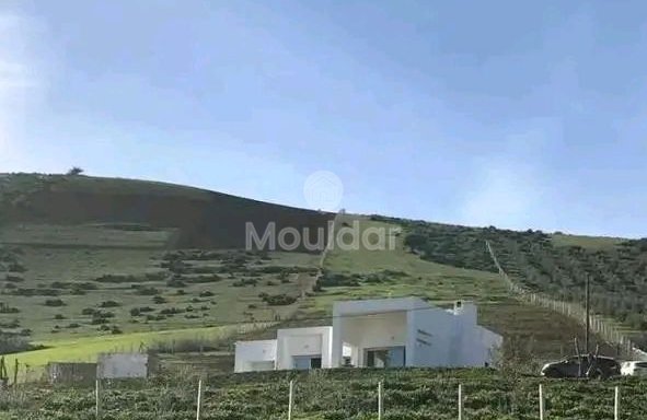 Khemisset'te satılık çiftlik: Alan, Konfor ve Doğa - 3