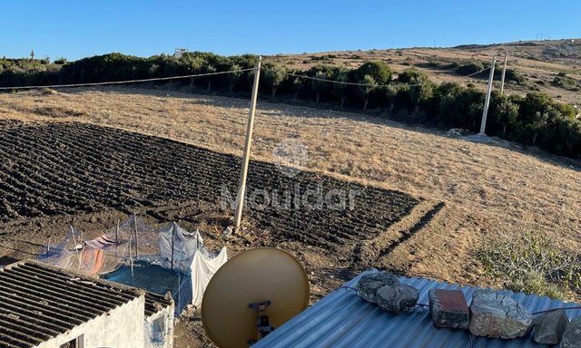 Tanger'da satılık çiftlik: 7700 m² güvenli tarım alanı - 4