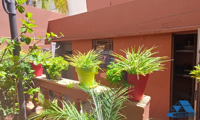 VENTA AMPLIO DUPLEX EN AGDAL RABAT — Rabat, Agdal - 23
